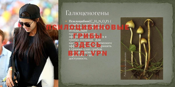 марки nbome Ельня